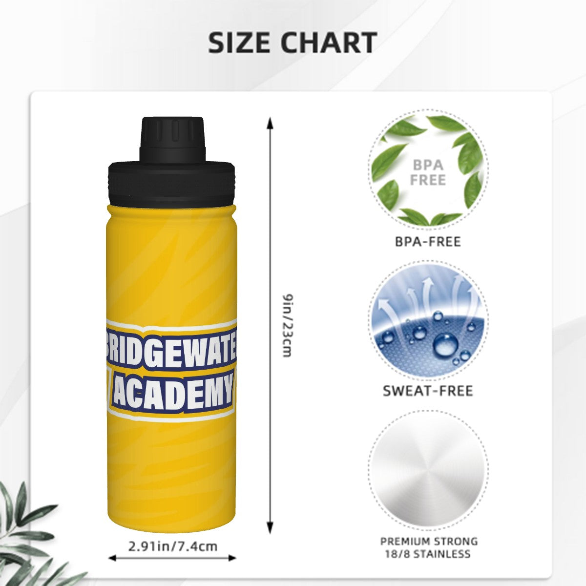 Bridgewater Academy Insulated Water Bottle - Eagles Nest