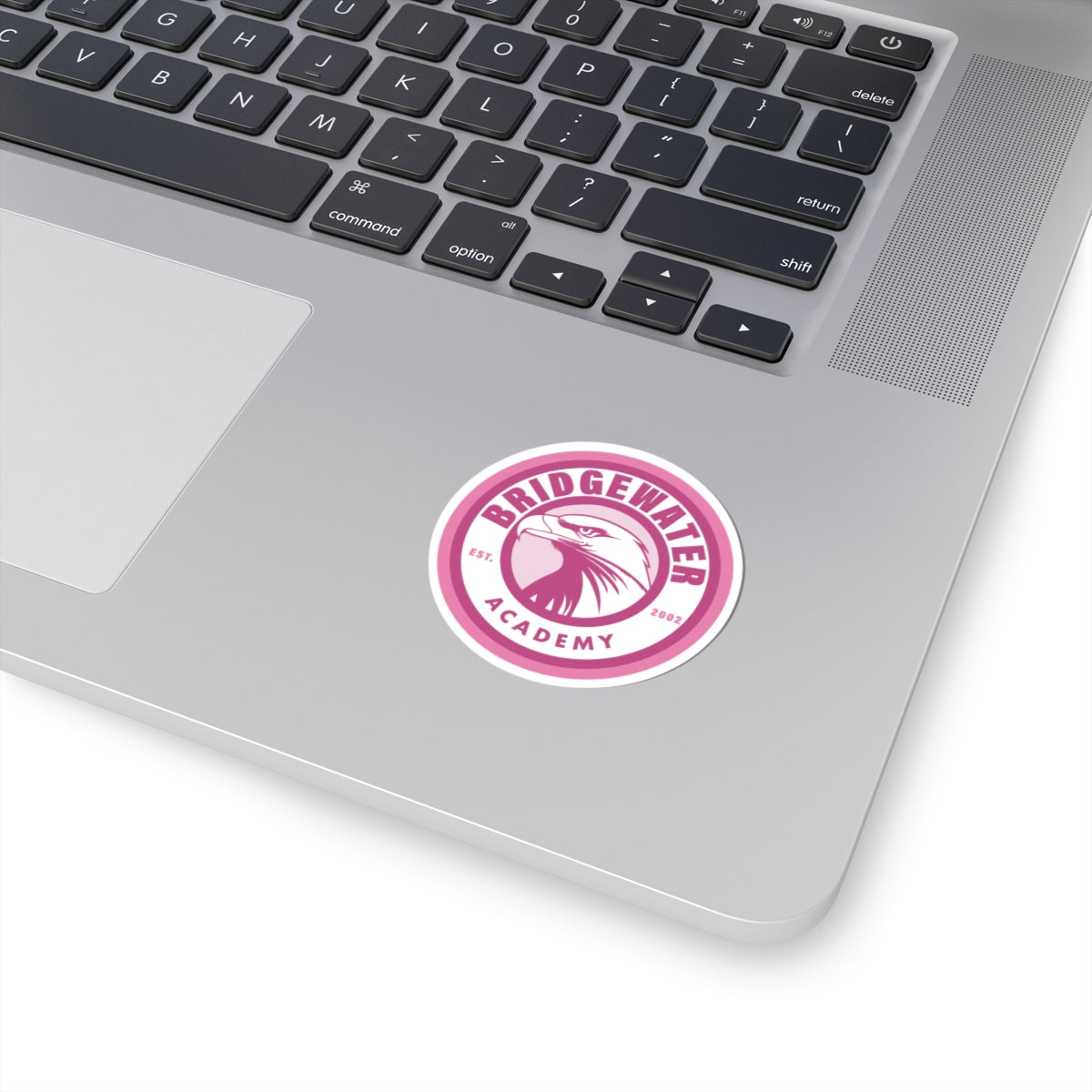 Bridgewater Academy Breast Cancer Sticker - Eagles Nest