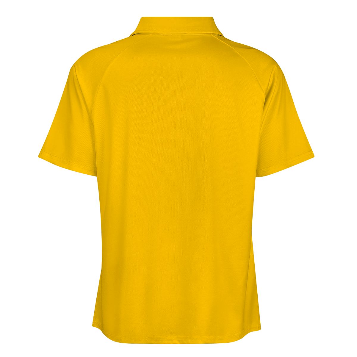 Bridgewater Academy Zip Polo Shirt - Eagles Nest