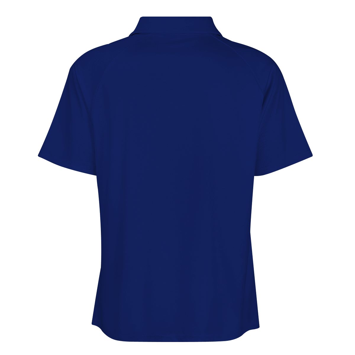 Bridgewater Academy Zip Polo Shirt - Eagles Nest
