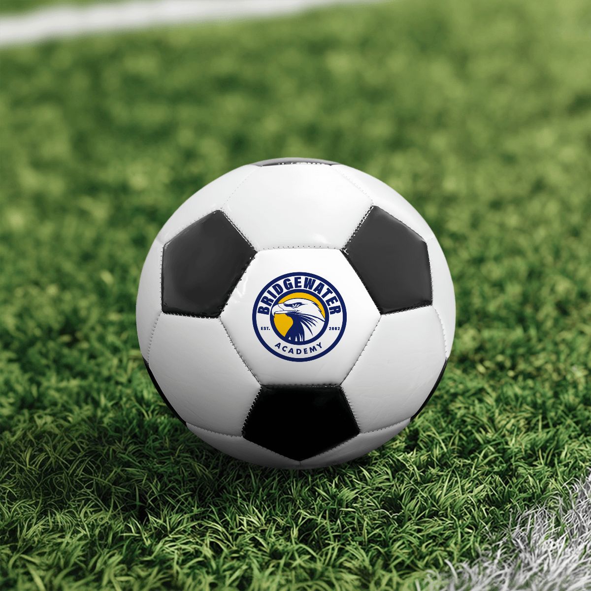 Bridgewater Academy Soccer Ball - Eagles Nest